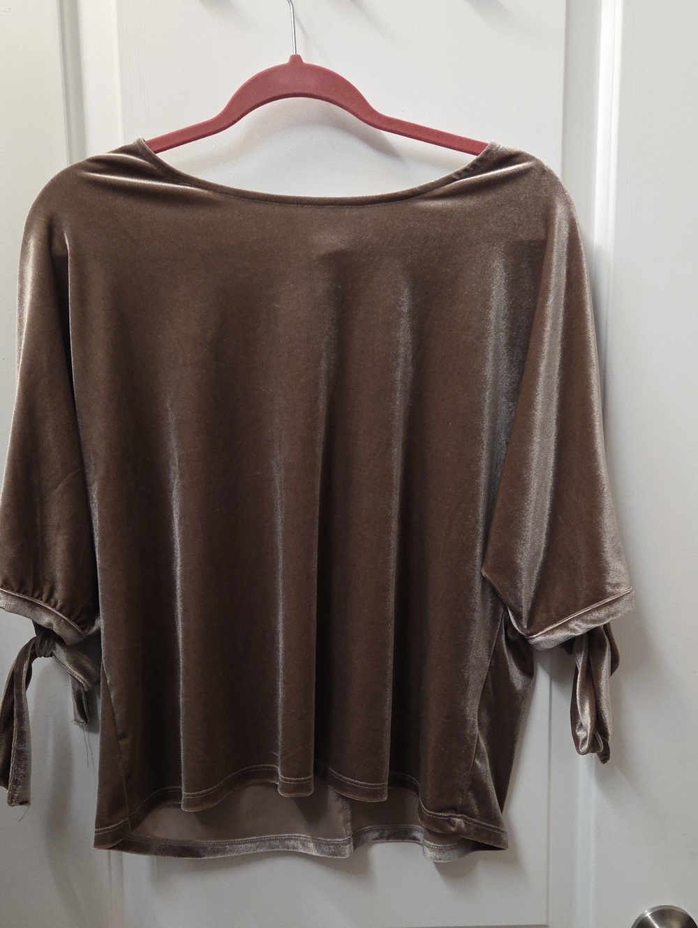 Velvet Tie-Sleeve Women’s Top in Brown